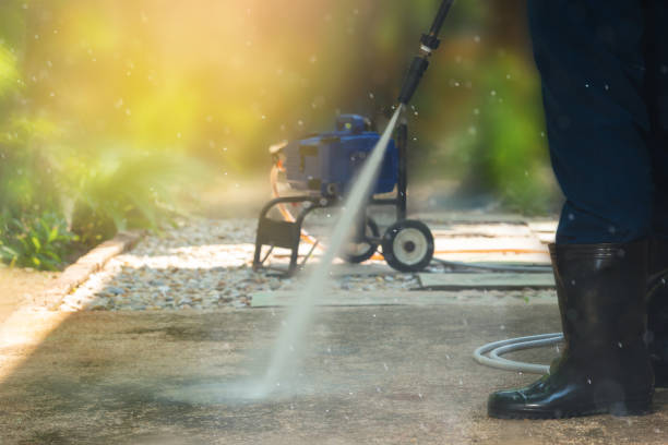 Best Roof Cleaning and Mildew Removal in Massanetta Springs, VA